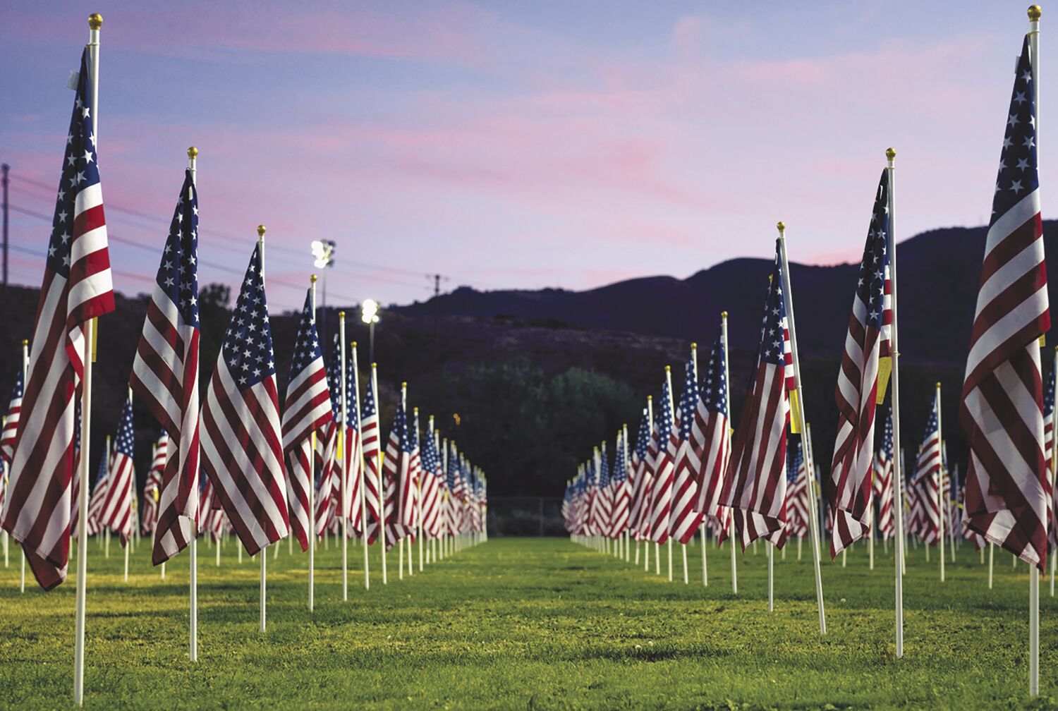 Healing and Honor Field